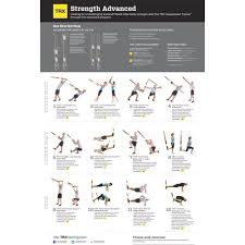 Trx Exercise Chart Advanced Strength
