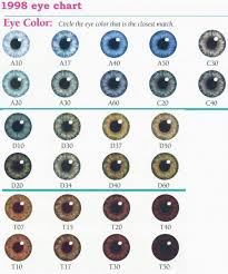 Hazel Color Chart Eye Color Odds Eye Color Wikipedia Natal