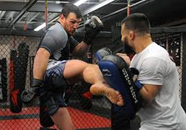 Some of the most recognizable alumni to come out. From Pittsburgh Roots Mma Ufc Have Grown To Staggering Heights Pittsburgh Post Gazette