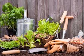 Maybe you would like to learn more about one of these? Must Have Gardening Supplies For New Gardeners Millcreek Gardens