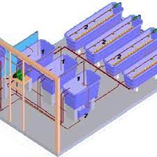 Layout Of Prototype Of Aquaponic Recirculating System 1 Fish Tank 2 Download Scientific Diagram