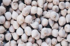 Dari tulisan di atas kita tau meskipun hampir seluruh khasiat bawang putih telah ada pada bawang lanang, tiada ada salahnya kita cantumkan khasiat bawang putih dimakan. Petani Bawang Putih Minta Importir Beli Hasil Panen Ekonomi Bisnis Com