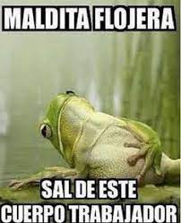 Graciosas Imagenes De La Vida Laboral Divertidos