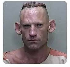 Nitnejku nejka bin-nejk