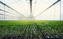 Bildergebnis für Holland CO2 in Gewächshäuser