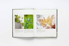 There is good news and bad news to having a weed free garden. Wild About Weeds Garden Design With Rebel Plants Wallington Jack Amazon De Bucher