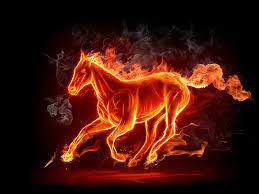 Download and use 3,000+ fire stock photos for free. 44 Fire Horse Wallpaper On Wallpapersafari