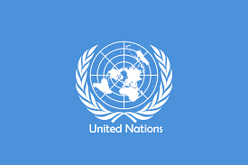 / 7+ sample job application letters for volunteers. Sample Cover Letter For Un Volunteering Jobs July 2021