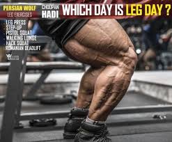 Hadi Choopan Leg Day Everyday Leg Workout Legs Day Fit Body Goals