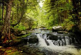 الغابون إيطاليا المغرب موريتانيا النيجر هولندا المملكة المتحدة السنغال. Ø§Ù„Ø³ÙŠØ§Ø­Ø© ÙÙŠ Ø§Ù„ØºØ§Ø¨ÙˆÙ† Ø§Ø¬Ù…Ù„ 3 Ù…Ø¯Ù† Ø³ÙŠØ§Ø­ÙŠØ© ÙÙŠ Ø§Ù„ØºØ§Ø¨ÙˆÙ† Ø±Ø­Ù„Ø§ØªÙƒ