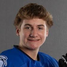 Fond du Lac Springs Ledgers