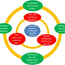 Pdf A Review Of The Anaerobic Digestion Of Fruit And Vegetable Waste