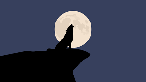 Black wolf and white wolf wallpaper. Howling Wolf Wallpaper Hd Minimalist 4k Wallpapers Images Photos And Background Wallpapers Den