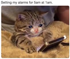 Feeling Down Let This Crying Cat Meme Cheer Up Your Life Film Daily Though the earliest crying cat was posted in 2014, the thumbs up crying cat was created in june 2019 and became popular on reddit and twitter. let this crying cat meme cheer up your