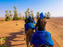 After an hour camel trek ( which will surely be enough as riding a dromedary is not the most comfortable. Sunset Camel Ride In The Palm Grove Of Marrakech Guided Desert Morocco