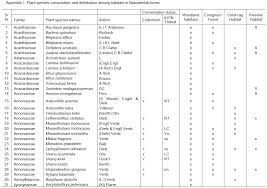 Image result for Lettowianthus stellatus