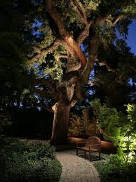 Landscape Design Ideas Pictures Remodel And Decor Landscape Lighting Design Landscape Lighting Backyard Lighting