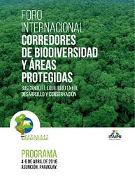 Programa foro web by Lisa Flecha