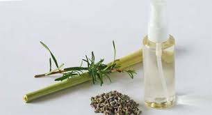 How To Make Homemade Lemongrass Mosquito Repellent Top Repellents