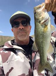 Dress kept sharks away at NC polls