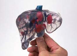 Dai Nippon S Low Cost Medical Models 3d Printing Industry 3d Printing 3d Printing Industry Technology Trends
