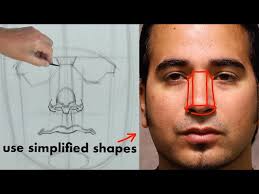 Drawing Proportions of the Head and Face