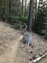Once on the farewell trail you won't have to worry about anymore junctions. Mrazek Mountain Bike Trail Bend Oregon