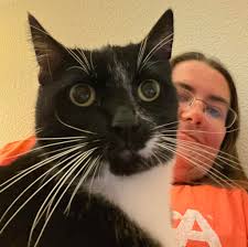 DMC floss chart recommendations needed