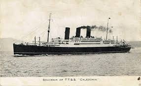 Image result for Caledonia Blue 1988 Vista