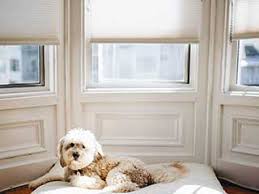 Find opening times for apple blinds near you. Bay Area Motorized Blinds About