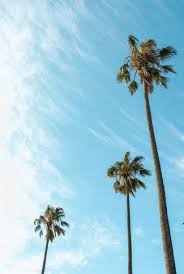 Pretty sky beautiful sky aesthetic backgrounds aesthetic wallpapers images esthétiques. Download Aesthetic Summer Sky Wallpaper Cellularnews