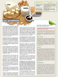 Les Proteines Association Vegetarienne Belgique Wallonie Bruxelles Association Alimentaire Alimentaire Alimentation