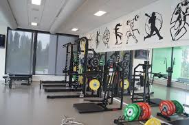 Athletes often look for alternative nutrition to perform at their best, and sports supplements are one way. Interview With Ralph Van Der Horst About Infrared Thermography Sportsperformance Netherlands