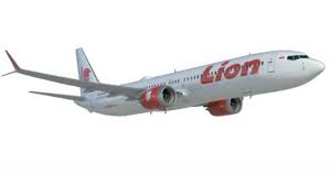 Airlines marked with the flexibooking tag can allow date changes without charging processing fees. Jatuhnya Lion Air Jt 601 B737 Max 8 Itu Adalah Produksi Terbaru Boeing Bbc News Indonesia