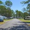 This is a slide show of highlights of blakeley state park. Https Encrypted Tbn0 Gstatic Com Images Q Tbn And9gcqgflceqj Mzzbk4zgi7kx4keuy39ffopacchs3atdbynmao6sp Usqp Cau