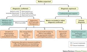 In the rest of the world, exposure to rabid dogs is the most common cause of transmission to humans. Rabies Nature Reviews Disease Primers