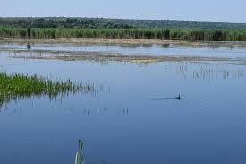 Localizarea rezervației (punctul marchează aproximativ centrul ariei protejate). Parcul Natural Comana