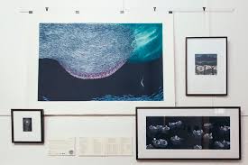 Drawn on the plate and printed by the artist in 2018. Hertha Kluge Pott Picture Of Queenscliff Gallery Tripadvisor