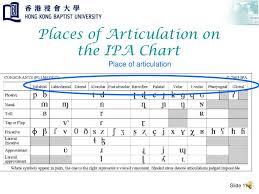 Ppt Place Of Articulation Powerpoint Presentation Free