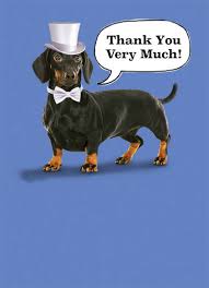 Dogs Cards Funny Cards Free Postage Included We have prepared the best gifs for you to say these magic words. dogs cards funny cards free postage