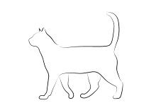 Hunde katzen pferde bauernhof wildtiere vögel wale, delfine insekten fische verschiedene dinosaurier tierbabys. Malvorlagen Katzen