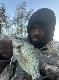 Electronics installation services in North Mississippi