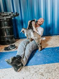 Follow yogasix new tampa new tampa schedule. Why You Should Absolutely Try Goat Yoga At Least Once Keeping Up With Kahla