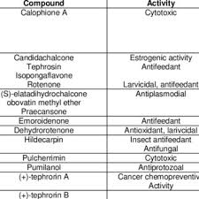 Image result for Tephrosia nyikensis