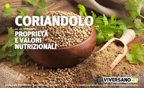 Qui troverai le ricette più gustose, veloci e salutari con il coriandolo. Coriandolo Proprieta E Benefici Per La Salute Usi E Controindicazioni