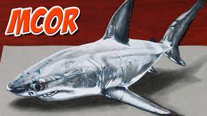 Add on the basic shape of its eye and the formation of its mouth. Drawing A 3d Shark Anamorphic Drawing Youtube