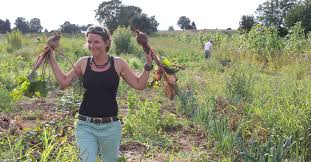 Männer und frauen gewöhnlich gesetzt arbeit inside die eigenschaft aus dem grund, dass sie möchten ein unglaubliches und bequemes haus. Kleingarten Stuttgart Muhlhausen Dein Beet Schrebergarten Stuttgart