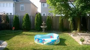 White cedar (thuja occidentalis), a coniferous evergreen, grows to nearly 50 feet tall, and is commonly used as hedging or, in some cases, for shading in landscapes. Privacy Tree Recommendations Emerald Cedars Are Slow
