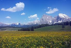 Inviate una richiesta per l'appartamento. Alpe Di Siusi Hotel Appartamenti Prenota Direttamente