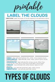Types Of Clouds Worksheet Education Com Earth And Space Science Weather Science Science Printables